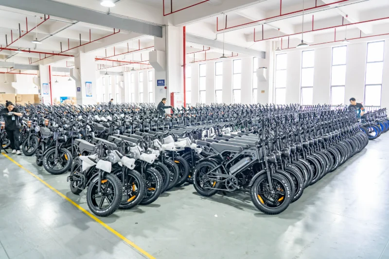 Producent niestandardowych rowerów elektrycznych Producent niestandardowych rowerów elektrycznych