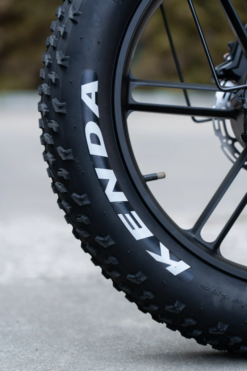Ebike z grubymi oponami dalekiego zasięgu Ebike z grubymi oponami dalekiego zasięgu
